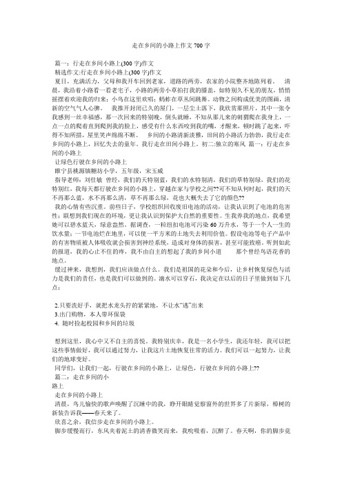 走在乡间的小路上作文700字