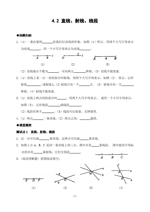 4.2 直线、射线、线段(含答案)-