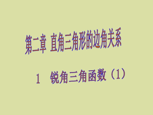 最新鲁教版九年级数学上册全套PPT课件