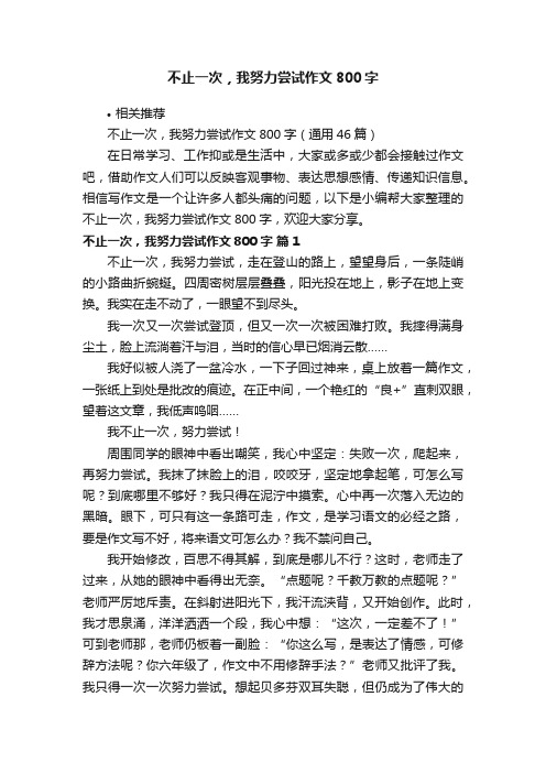 不止一次，我努力尝试作文800字