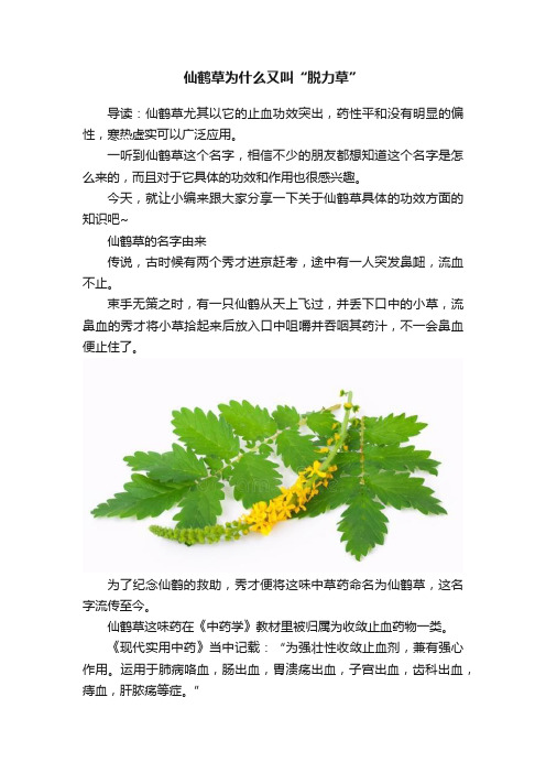 仙鹤草为什么又叫“脱力草”