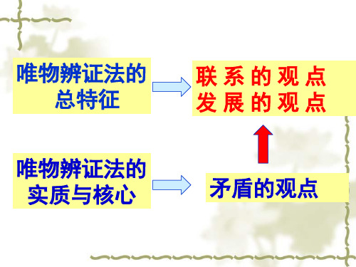 9.1矛盾的同一性和斗争性(复习)