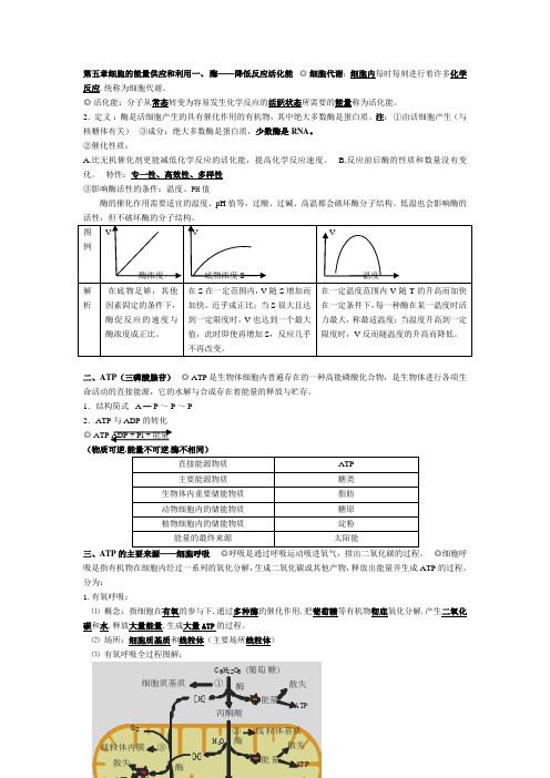 高中生物必修一第五章细胞的能量供应和利用知识点