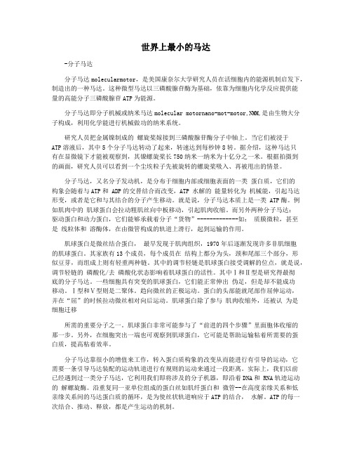 世界上最小的马达