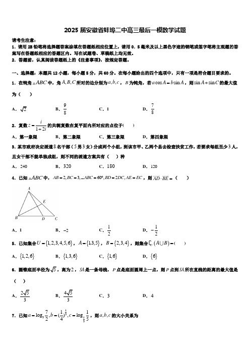 2025届安徽省蚌埠二中高三最后一模数学试题含解析