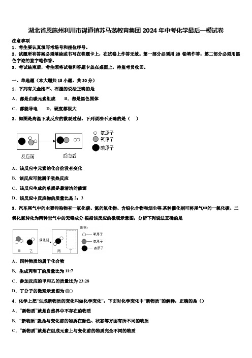 湖北省恩施州利川市谋道镇苏马荡教育集团2024届中考化学最后一模试卷含解析