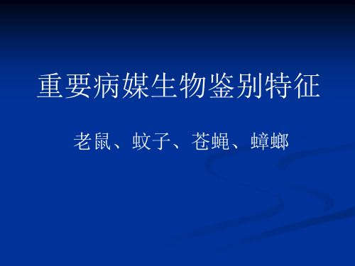 老鼠、苍蝇、蚊子、蟑螂鉴别特征(图文并茂,内容翔实)