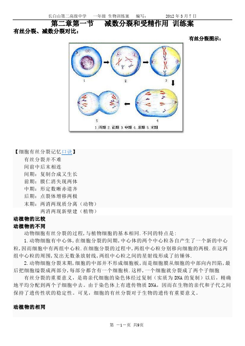 第2章第1节有丝分裂,减数分裂比较 训练案