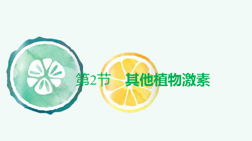 人教版(新教材)高中生物选择性必修1精品课件:5