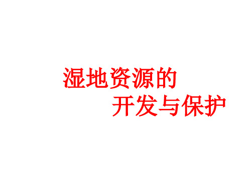 高中地理专题复习之湿地资源的(1)ppt课件