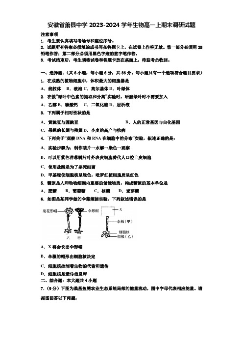 安徽省萧县中学2023-2024学年生物高一上期末调研试题含解析