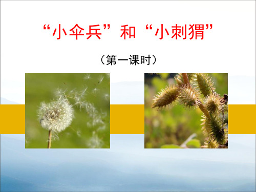 《“小伞兵”和“小刺猬”》PPT【优秀课件PPT】