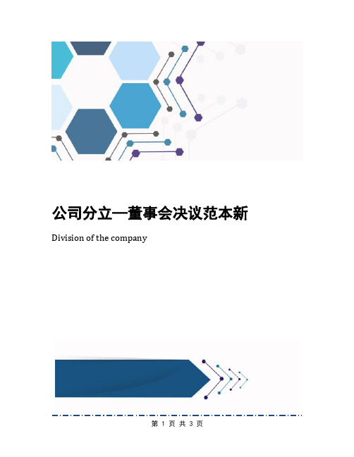 公司分立—董事会决议范本新