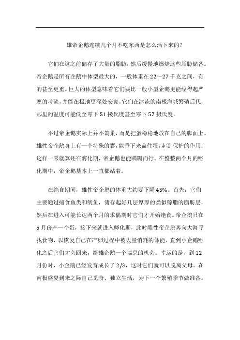 雄帝企鹅连续几个月不吃东西是怎么活下来的