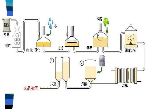 精选麦芽汁制备工艺课件