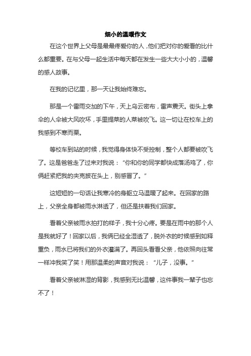 细小的温暖作文