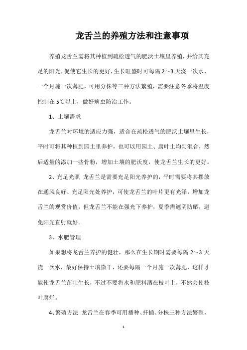 龙舌兰的养殖方法和注意事项