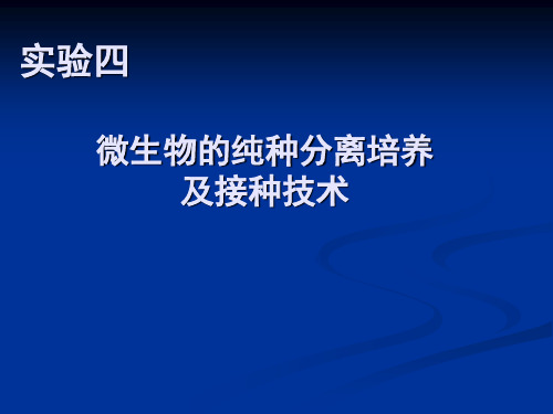 微生物的纯种分离培养及接种技术