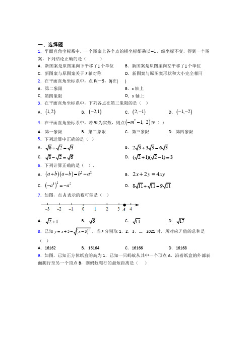 【鲁教版】八年级数学上期中试题(附答案)(2)