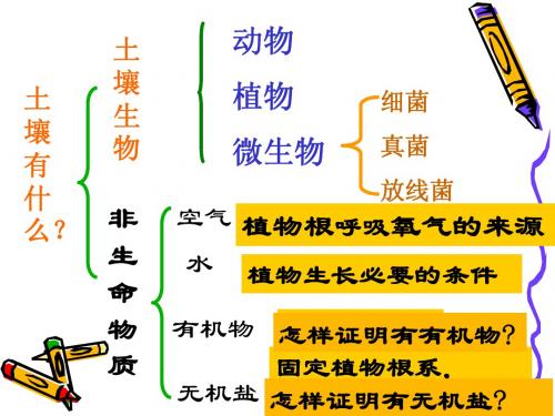 浙教版科学八年级下册第三章植物与土壤_复习