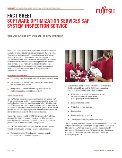Fujitsu SAP 优化服务说明书