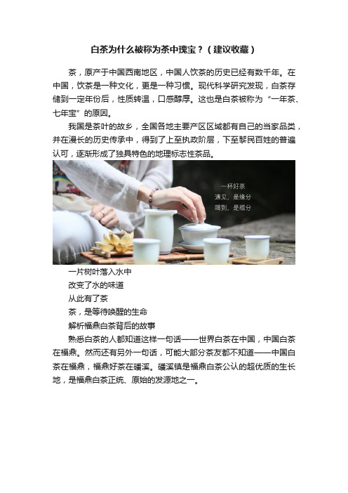 白茶为什么被称为茶中瑰宝？（建议收藏）