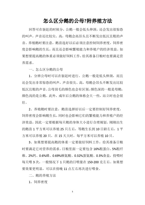 怎么区分鹅的公母附养殖方法