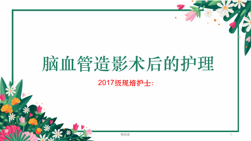 脑血管造影术后护理ppt课件