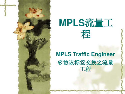 MPLS流量工程