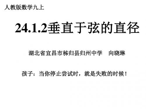 (公开课)24.1.2 垂直于弦的直径 课件(19张PPT) 教案 说课稿 教学反思(1)