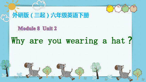 六年级下册英语课件-Module8 Unit 2 Why are you wearing a hat.｜外研社(三起) (共11张PPT)