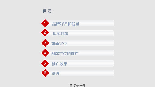 王老吉品牌定位分析PPT课件