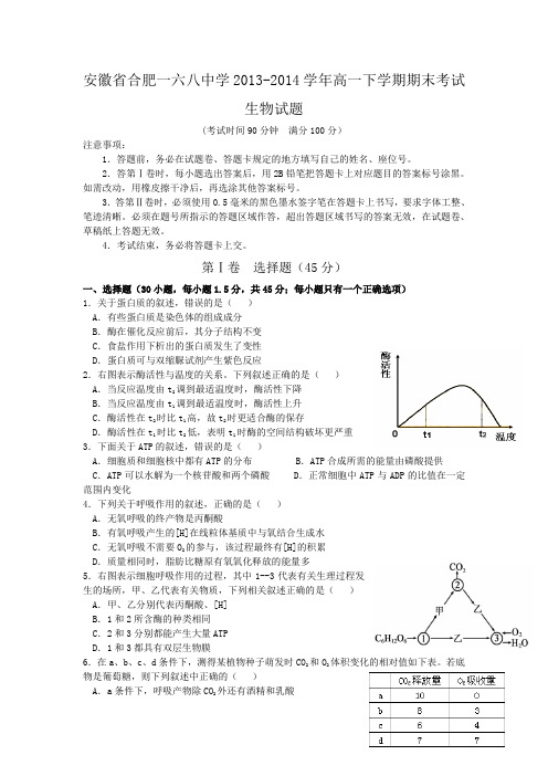 合肥一六八中学高一第二学期期末考试生物