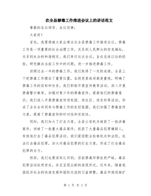 在全县禁毒工作推进会议上的讲话范文