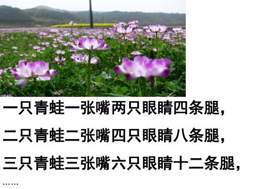 青岛版四年级下册数学 用字母表示数练习PPT教学课件