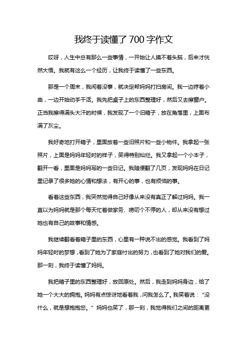 我终于读懂了700字作文