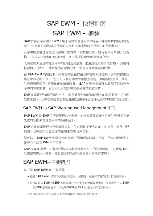 SAP EWM  快速指南规范.doc