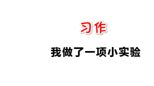 新版三年级下册-习作：我做了一项小实验人教(部编版)  (共16张PPT)