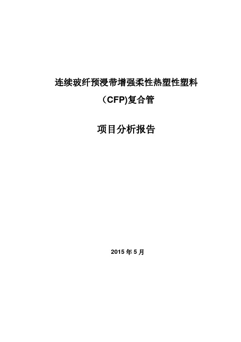 玻纤预浸带(CFP)RTP管项目分析报告