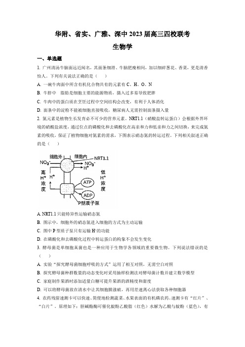 2022-2023学年广东省华附、省实、广雅、深中高三下学期四校联考生物试卷含答案