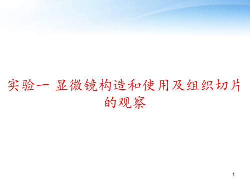 实验一 显微镜构造和使用及组织切片的观察 ppt课件