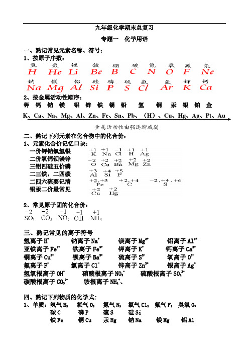 九年级第一学期化学用语专题复习