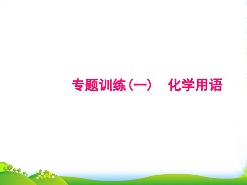 年九年级人教版化学上册课件：专题训练(一) 化学用语(共18张PPT)