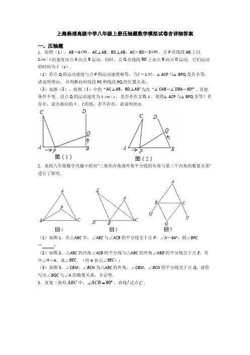 上海杨浦高级中学八年级上册压轴题数学模拟试卷含详细答案