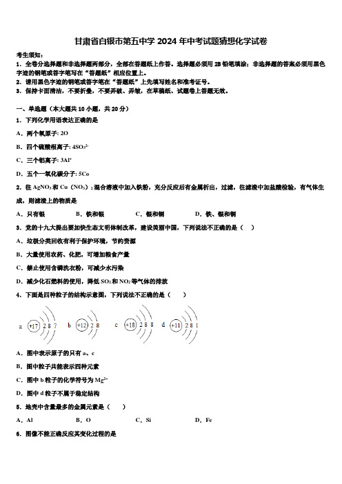 甘肃省白银市第五中学2024届中考试题猜想化学试卷含解析