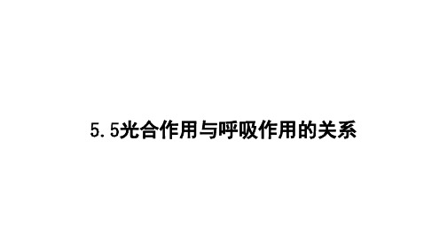 人教版高中生物必修一光合作用与呼吸作用的关系