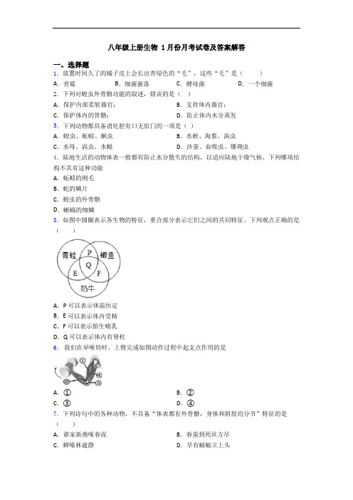 八年级上册生物 1月份月考试卷及答案解答