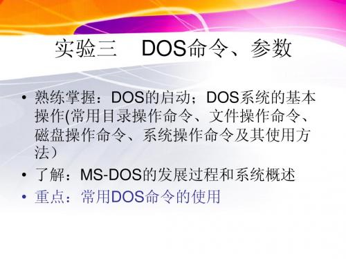 DOS_操作系统