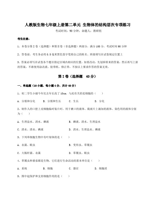 人教版生物七年级上册第二单元 生物体的结构层次专项练习试题(含详解)