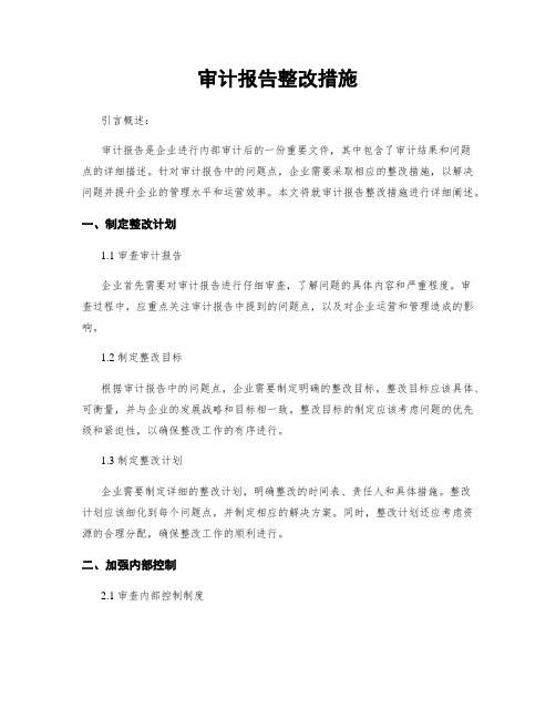 审计报告整改措施